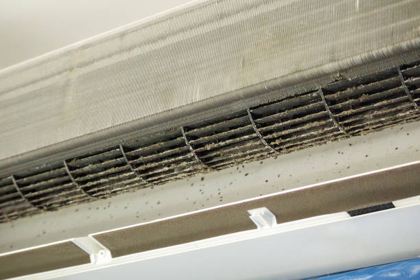 Best Air Duct Inspection  in Oceanport, NJ